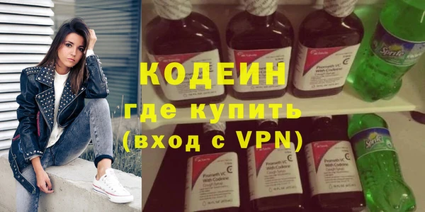 индика Кодинск