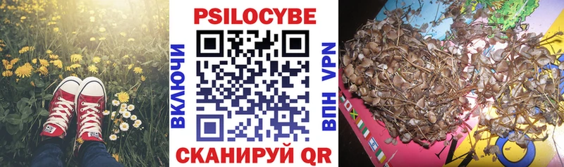 Галлюциногенные грибы мицелий  Вышний Волочёк 